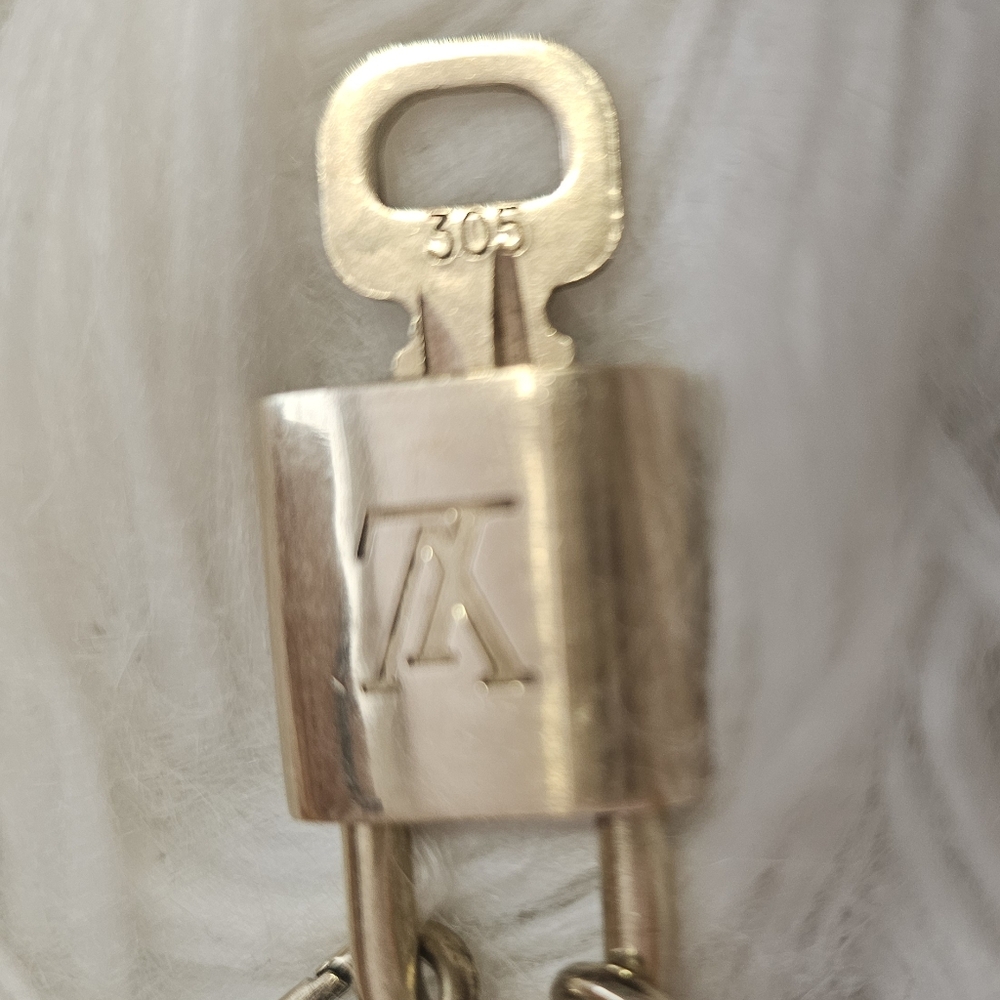 Louis Vuitton bundle: Lock & key with chain + box & card holder 💯 - Picture 9 of 9